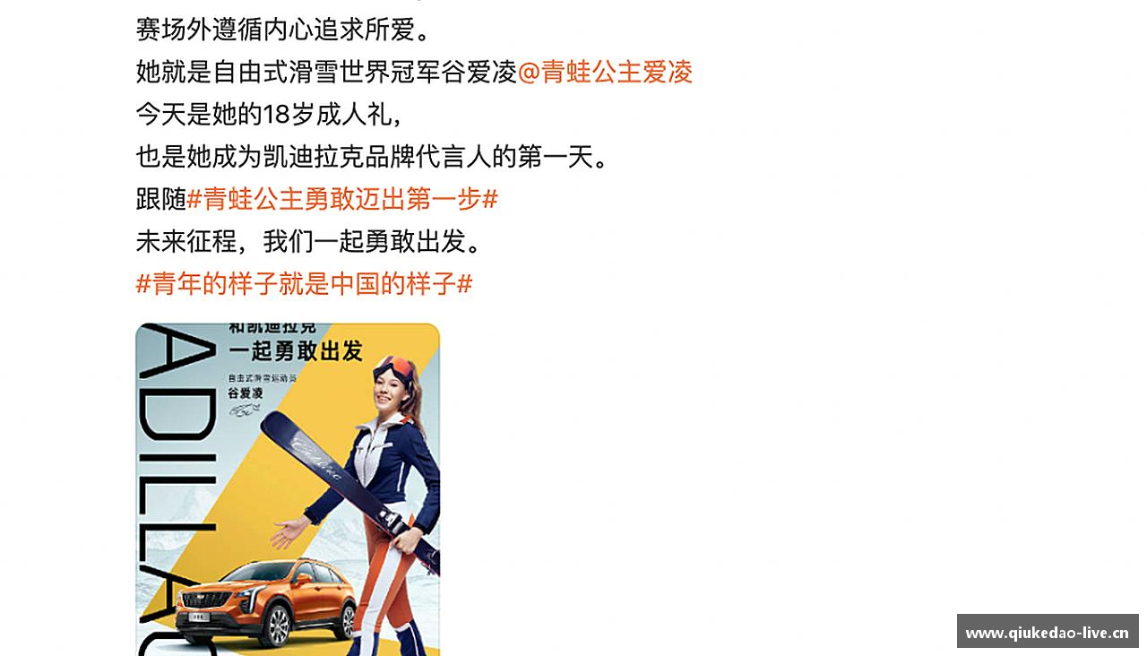 球客岛官方网站追逐荣耀，创造传奇